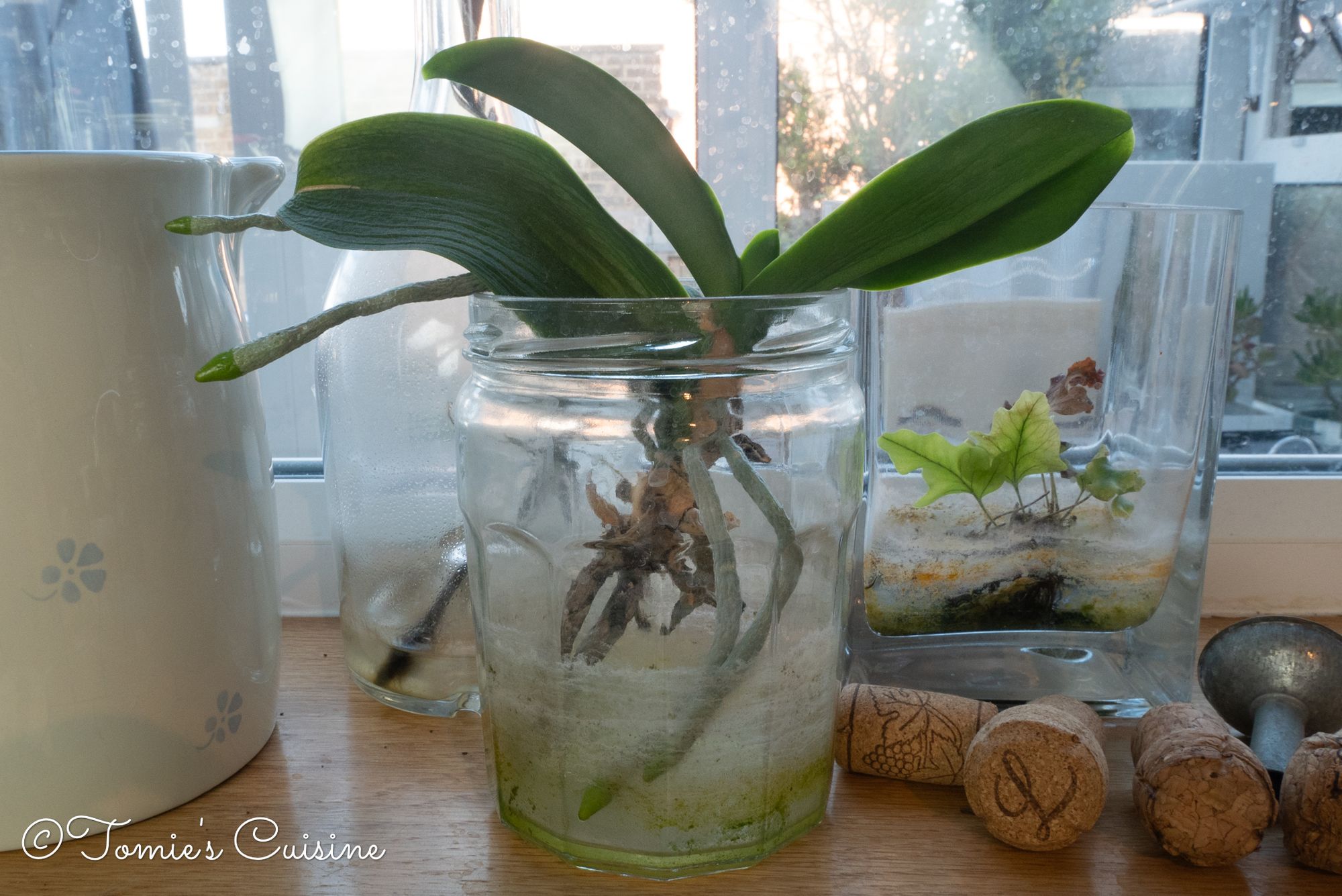 How to reuse glass food jars