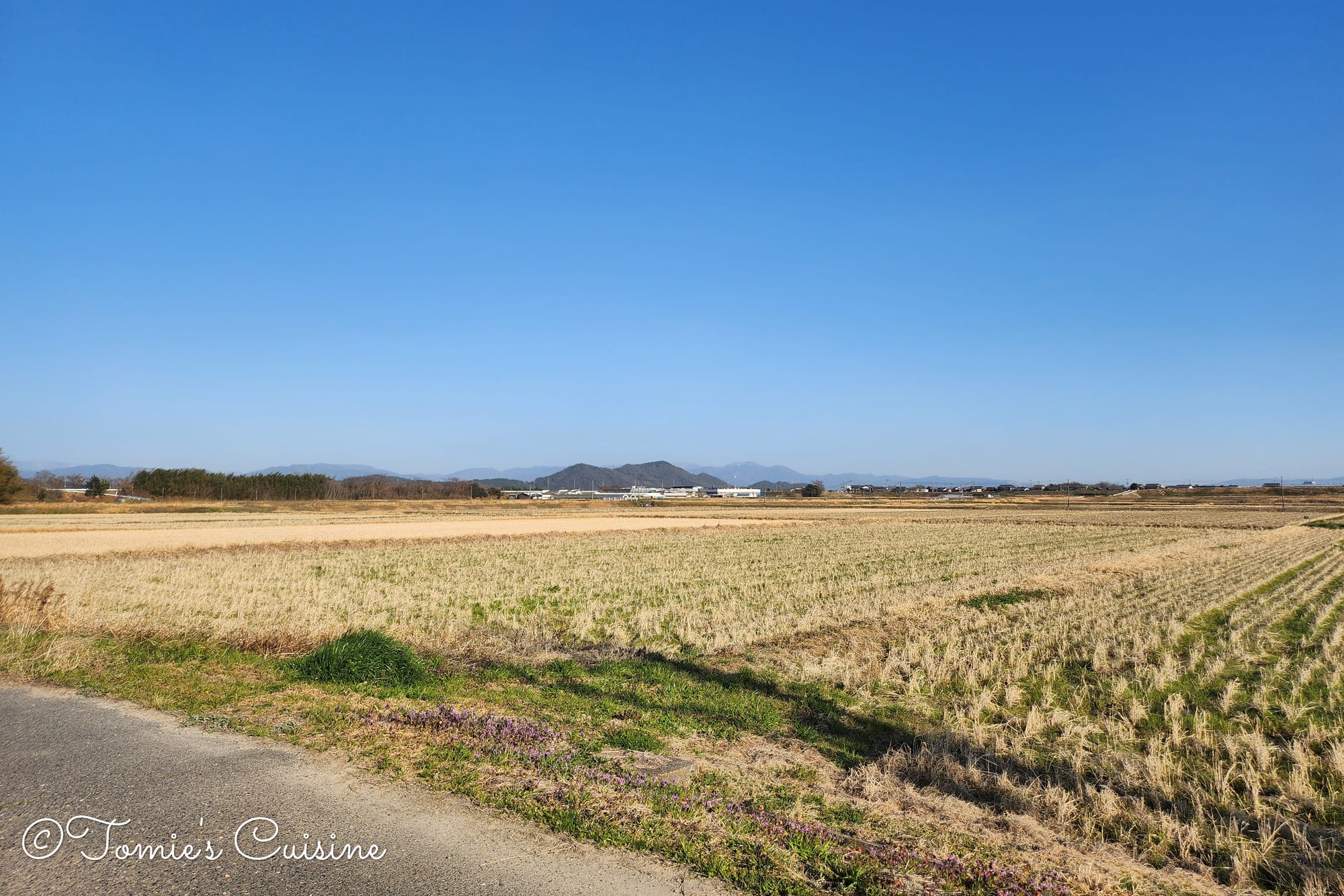 Nakasendo Day 2/19: Kusatsu to Echigawa in Shiga Prefecture