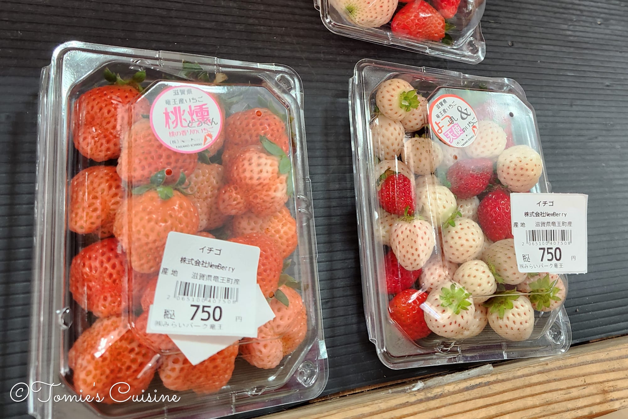 Nakasendo Day 2/19: Kusatsu to Echigawa in Shiga Prefecture