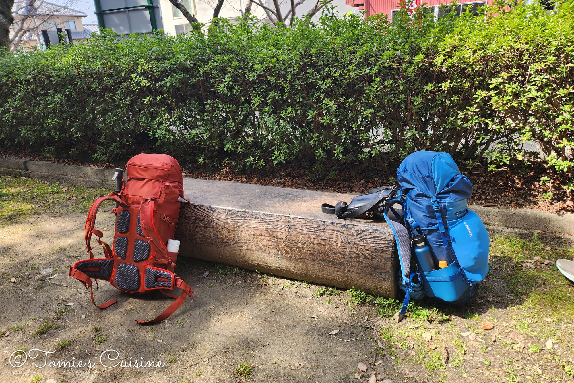 Nakasendo Day 2/19: Kusatsu to Echigawa in Shiga Prefecture