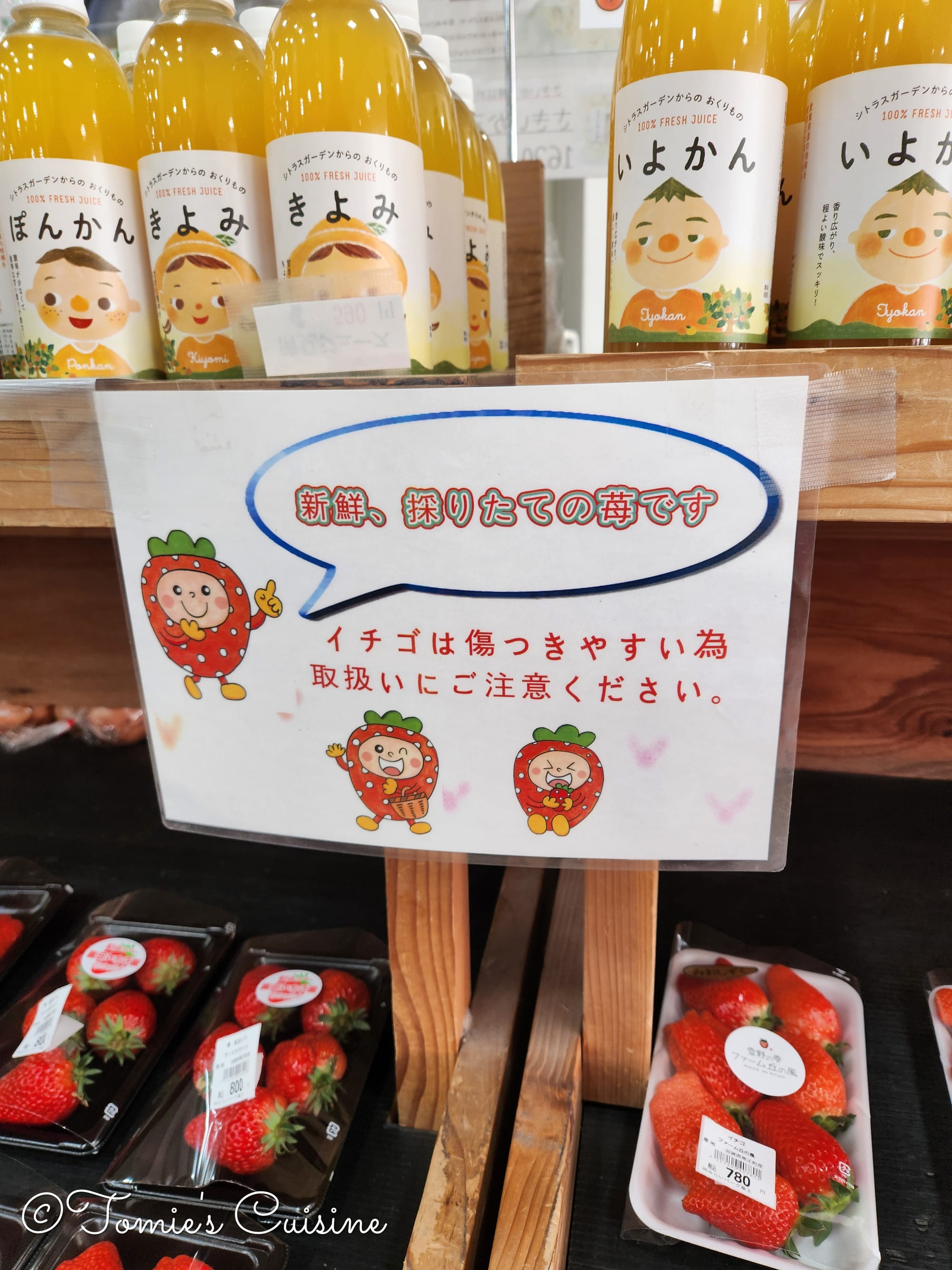 Nakasendo Day 2/19: Kusatsu to Echigawa in Shiga Prefecture