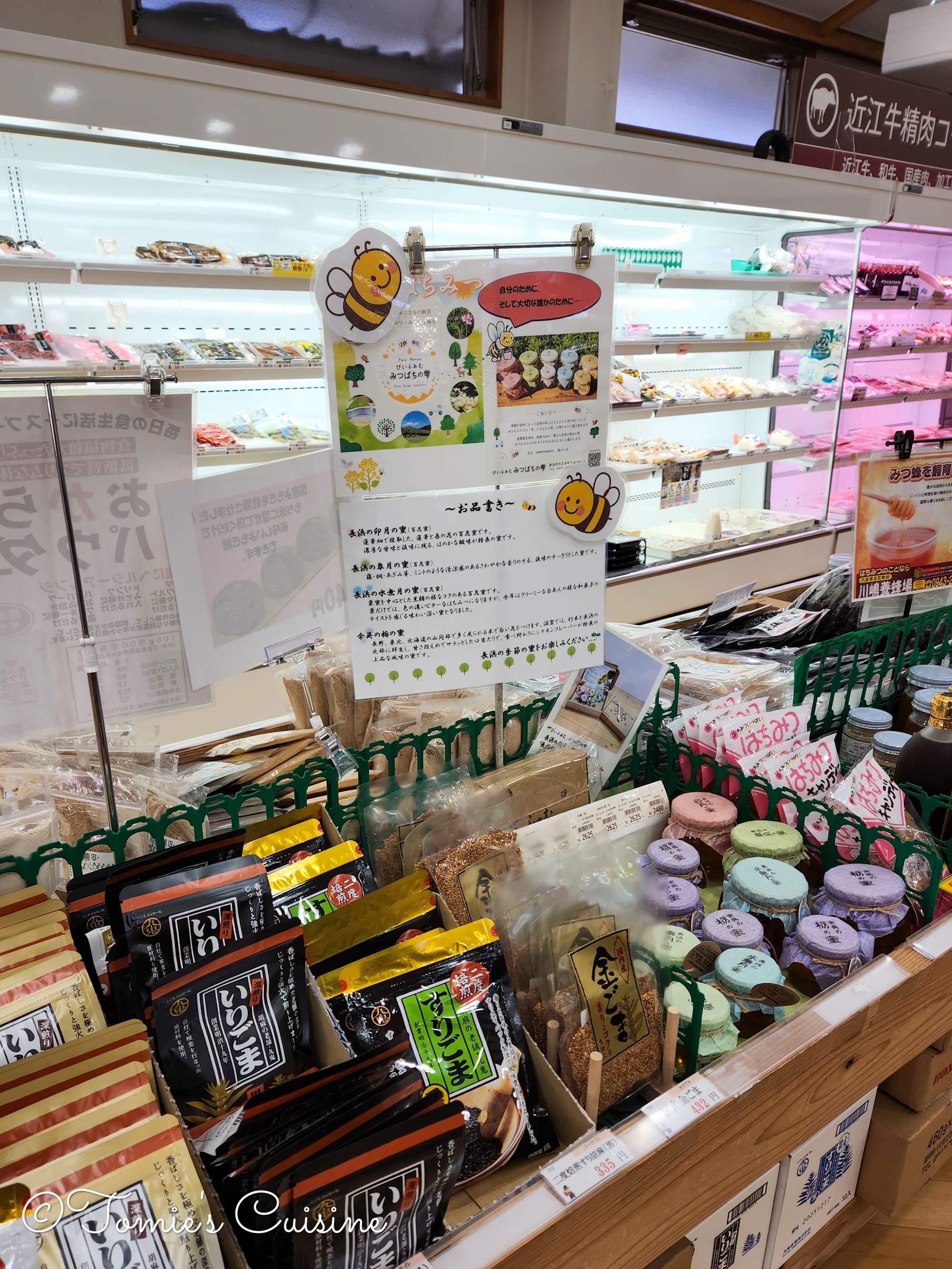 Nakasendo Day 2/19: Kusatsu to Echigawa in Shiga Prefecture