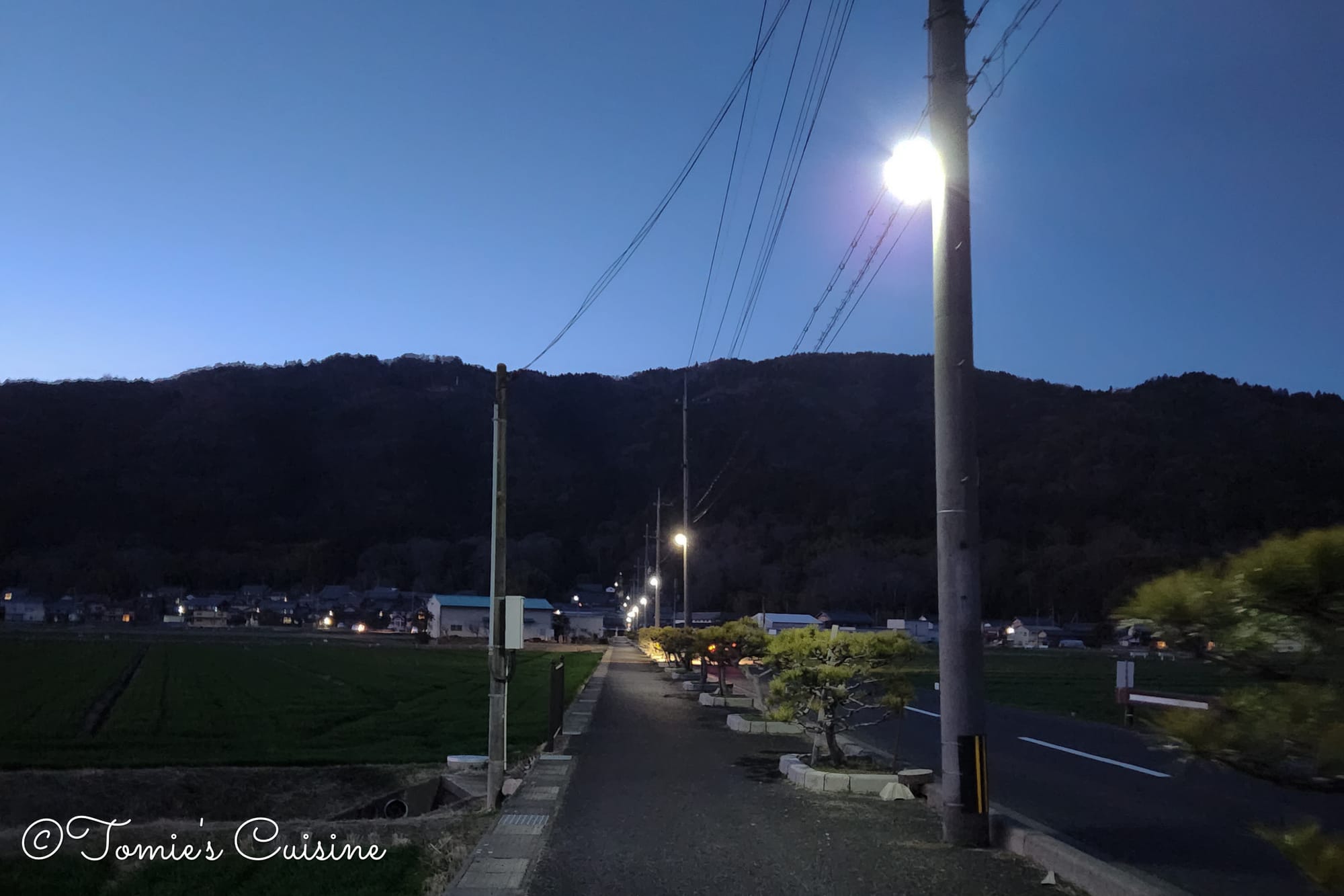 Nakasendo Day 2/19: Kusatsu to Echigawa in Shiga Prefecture