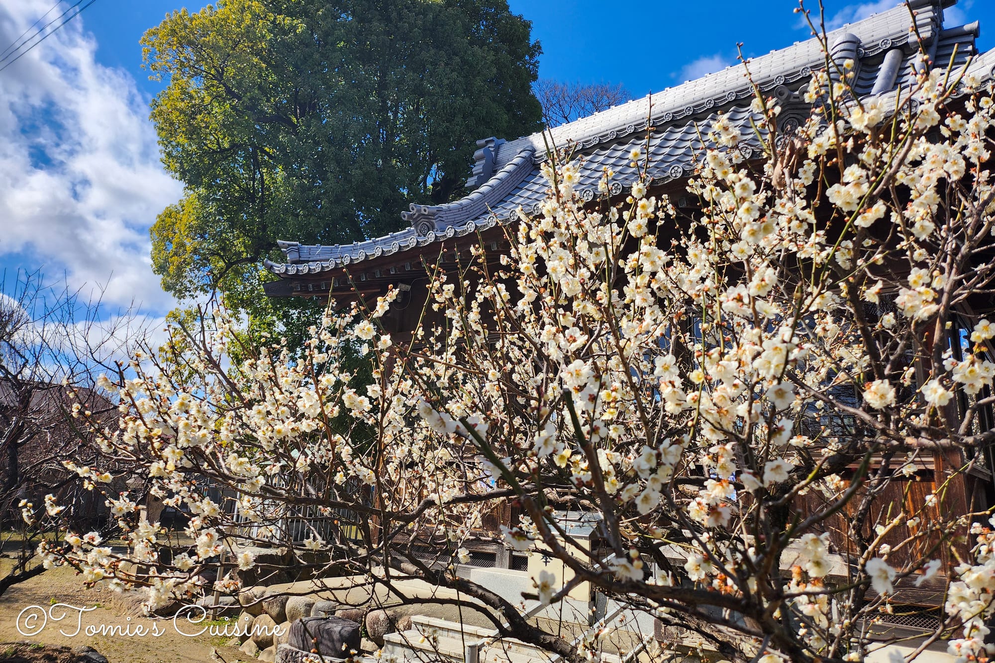 Early spring weather on the Nakasendo trail
