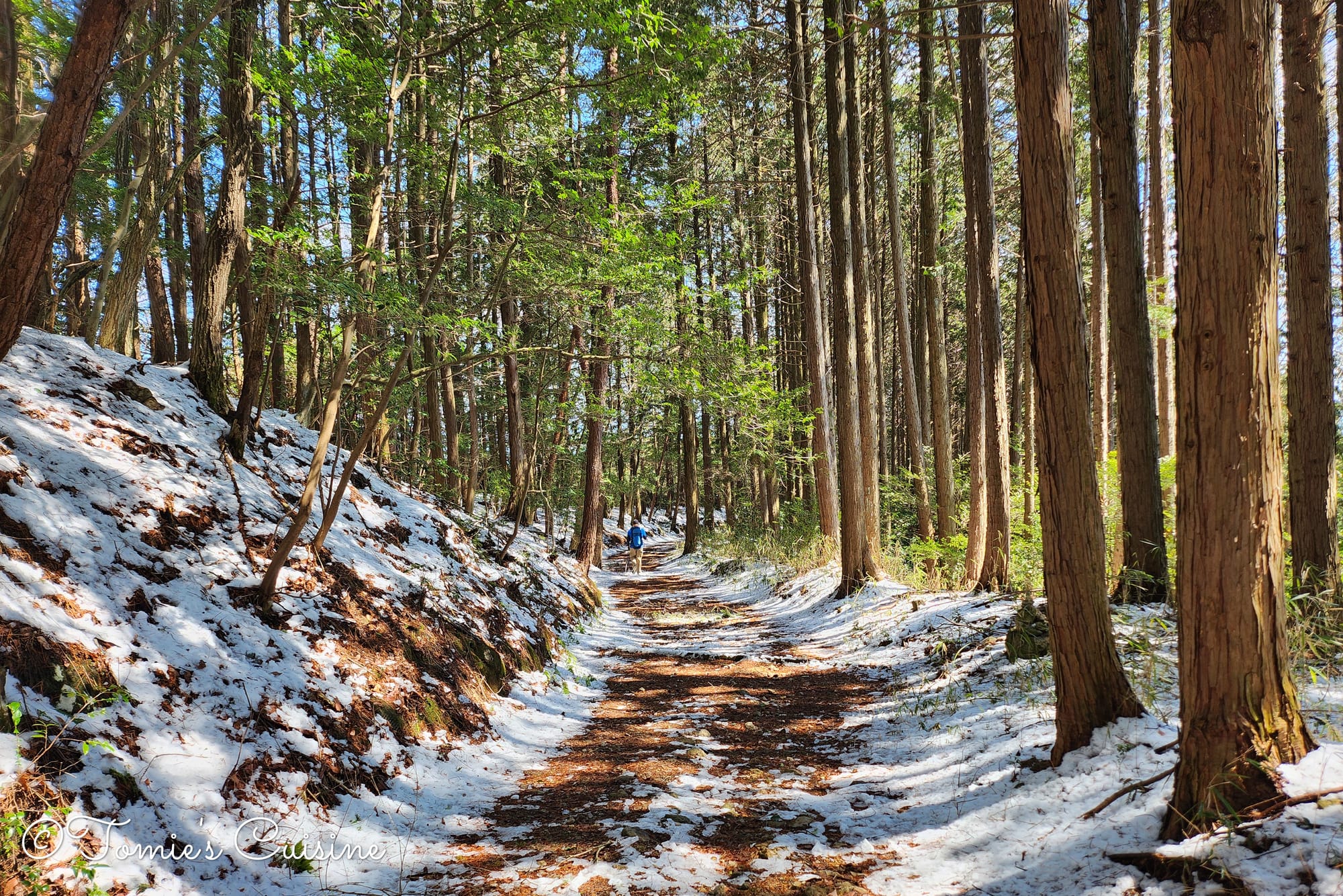GPX track on a hiking device on the Nakasendo