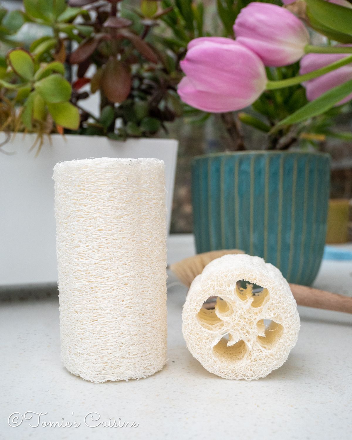 Organic natural loofah sponge review