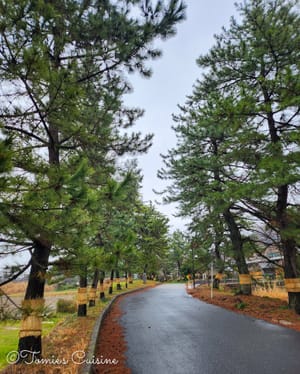 Nakasendo day 4/19: Kashiwabara to Akasaka in Gifu prefecture